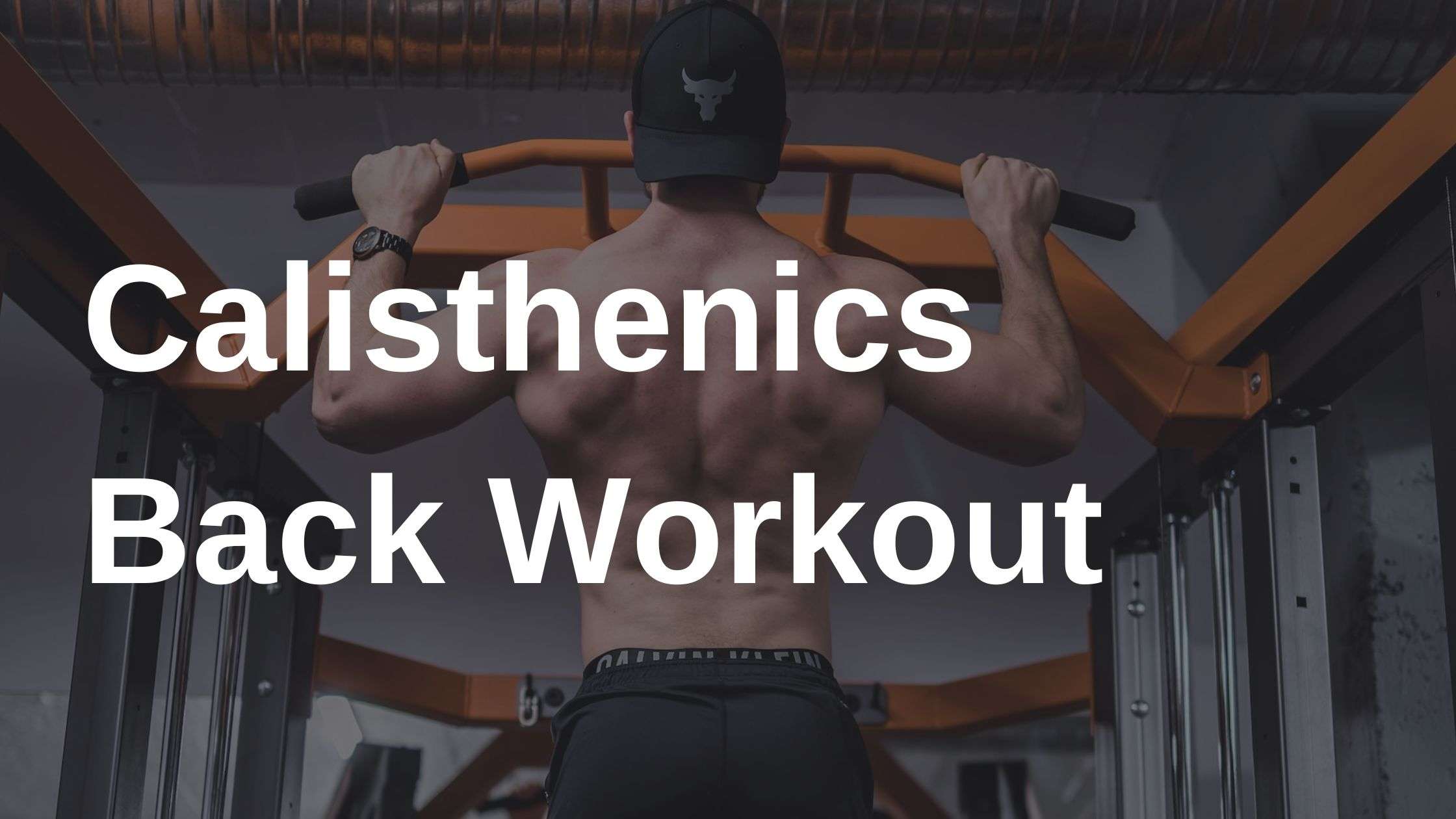 calisthenics back workout