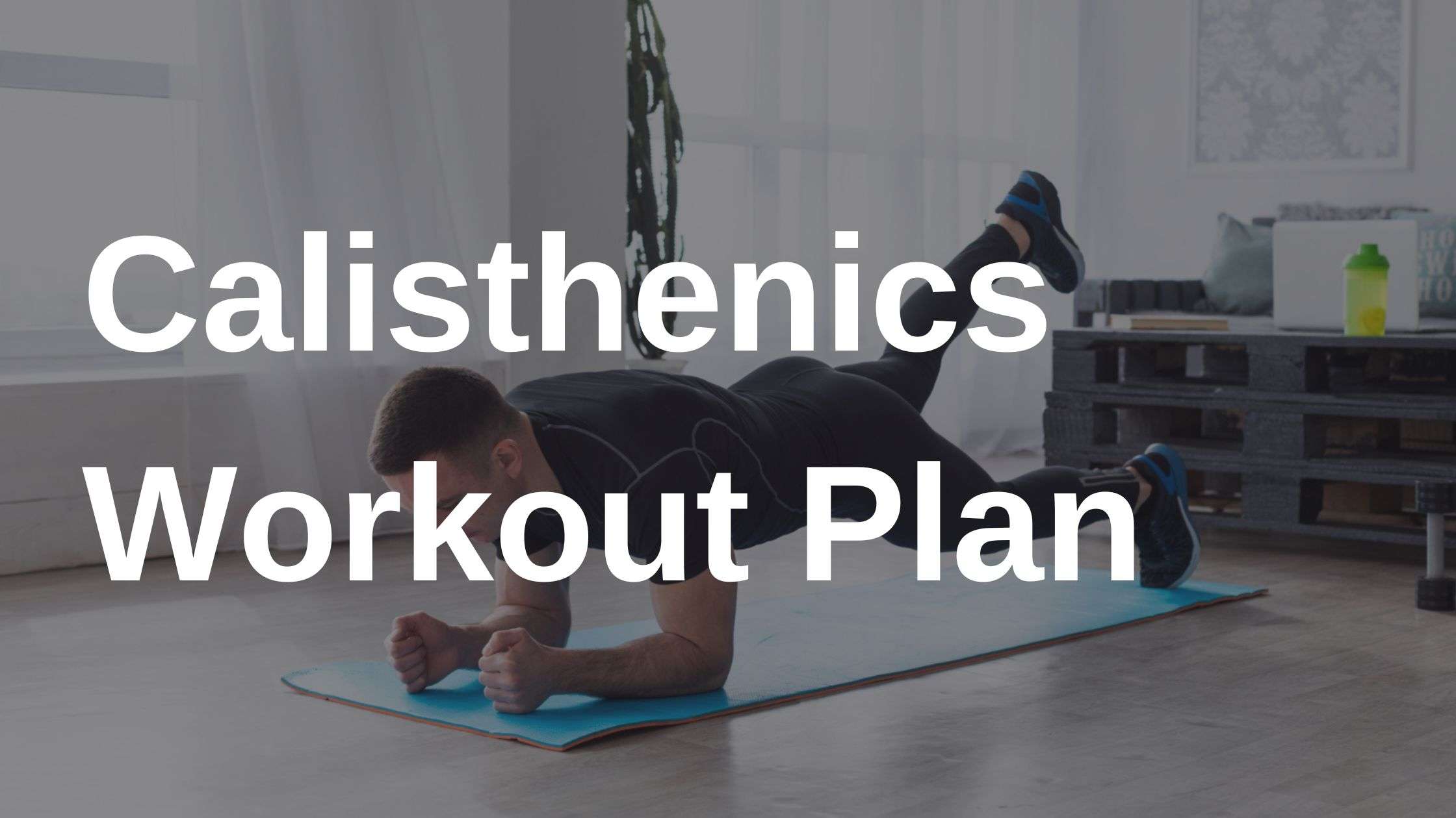 calisthenics workout plan